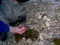 videos de Pok!  Malham Tarn in winter