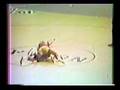 Dan Gable vs Larry Owings