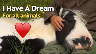 A Incrível Relação Homem-Animal