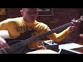 Flea on Dani California, Charlie, & Hump de Bump Flea on Dani California, Charlie, & Hump de Bump