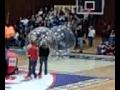 videos de Hamster Ball Racing West Jordan High School!