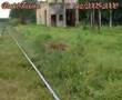 efa estrada de ferro araraquara - Tanabi