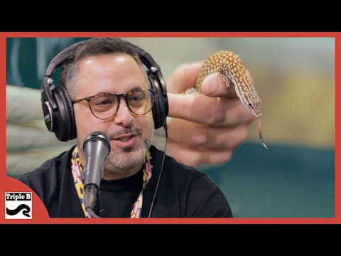 YouTube reptile video