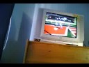 safety- madden nfl 06