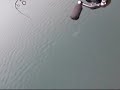 レインボートラウト59cmとの攻防シーンです。