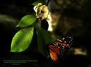 Celebration of digital art