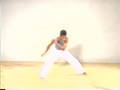Mastering Capoeira 3  Intermediate  1 of 3 