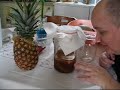 Kombucha Kombucha