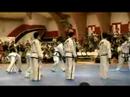 2007 North Korean TKD Demo - Breaking (3)