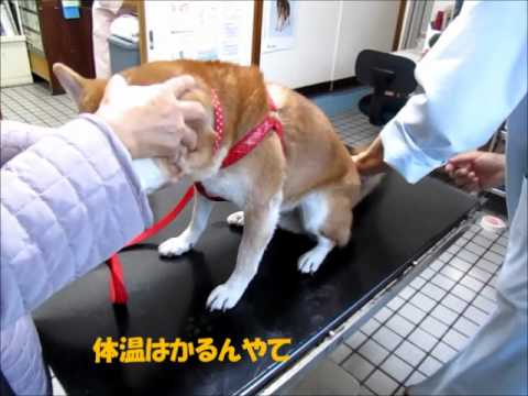 注射