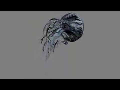 Jellyfish01