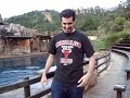un leon marino besa a vito