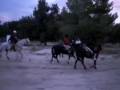 videos de Manzanita Endurance Ride 10-4-08
