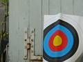 videos de Thompson M1 A1 AIRSOFT