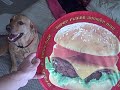 I Can Has Cheeseburger