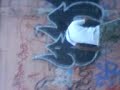 Real Vandals BONES 619