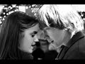 Ron and Hermoine!