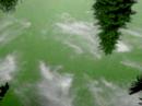[Video]