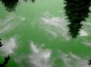 110407 Chemtrails/Kinetic Energy of self replicating matter? 110407 Chemtrails/Kinetic Energy of self replicating matter?