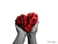 videos de yada.wmv