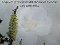 FRASES PARA REFLEXIONAR