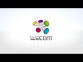 wacom cintiq 12wx