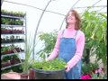 Planting a 10 Gallon Summer Flowering Basket