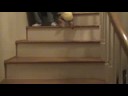 River Climbing Stairs