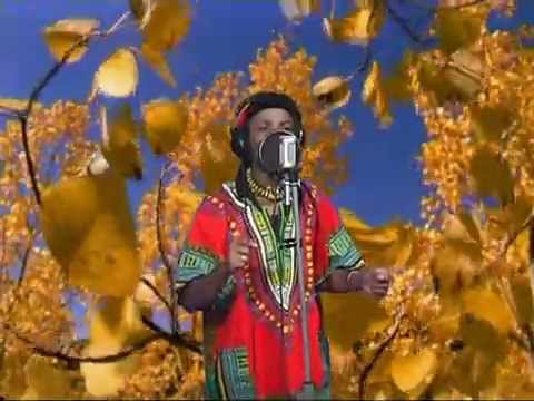 Image de prévisualisation YouTube