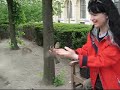 Was passiert, wenn man ein Stück Brot in die Luft hält