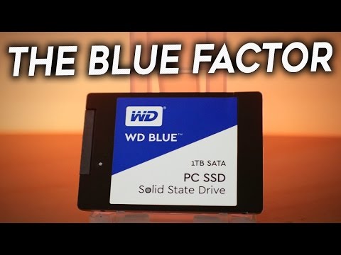 WD 1TB Blue SSD Review - Is it Any GOOD?