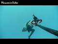 Spearfishing Pescasub Calasole all\