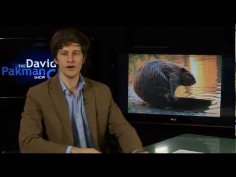 German Police Gun Usage, Leave Mitt Alone, More Video