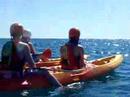 Go Sea Kayak with Dolphins May 4th 2008