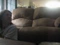 Couch Divers
