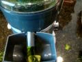 HEART-SHAPED STRAWBERRY GETS JUICED!! AWARD-WINNING Juicer Recipe!