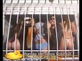 TORRY - Que bochorno - Rancho (parodia Gran Hermano) 7