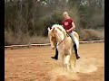 Kelly and Pal bareback