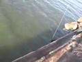Crab Fishing In San Francisco