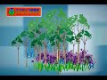エコライフ研究所   ｃｍ（ｃｇイメージ）