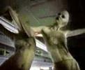 videos de FEMMEdiABLE