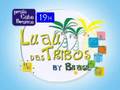 VT do Luau das Tribos 2008 - Um só povo em Festa