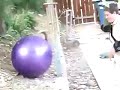 Death of Purple ball