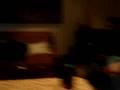 videos de macchina delle scorreggie