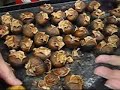 Peeling Chestnuts for Thanksgiving Turkey Stuffing