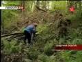 В Северной Осетии поисковиками найден самолёт ИЛ-2.