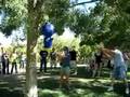Marcie's 30th Pinata