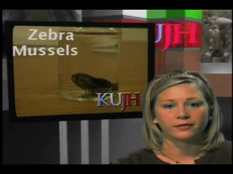 how to treat zebra mussels