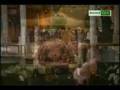 Aye watan pyare watan- Asad Amanat Ali Khan