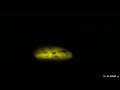 a RNA modifier protein fused to YFP expressed in the nucleus